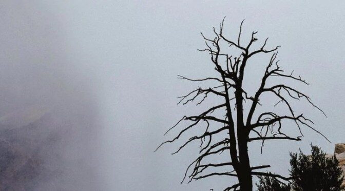 Mi sono perso in Appennino